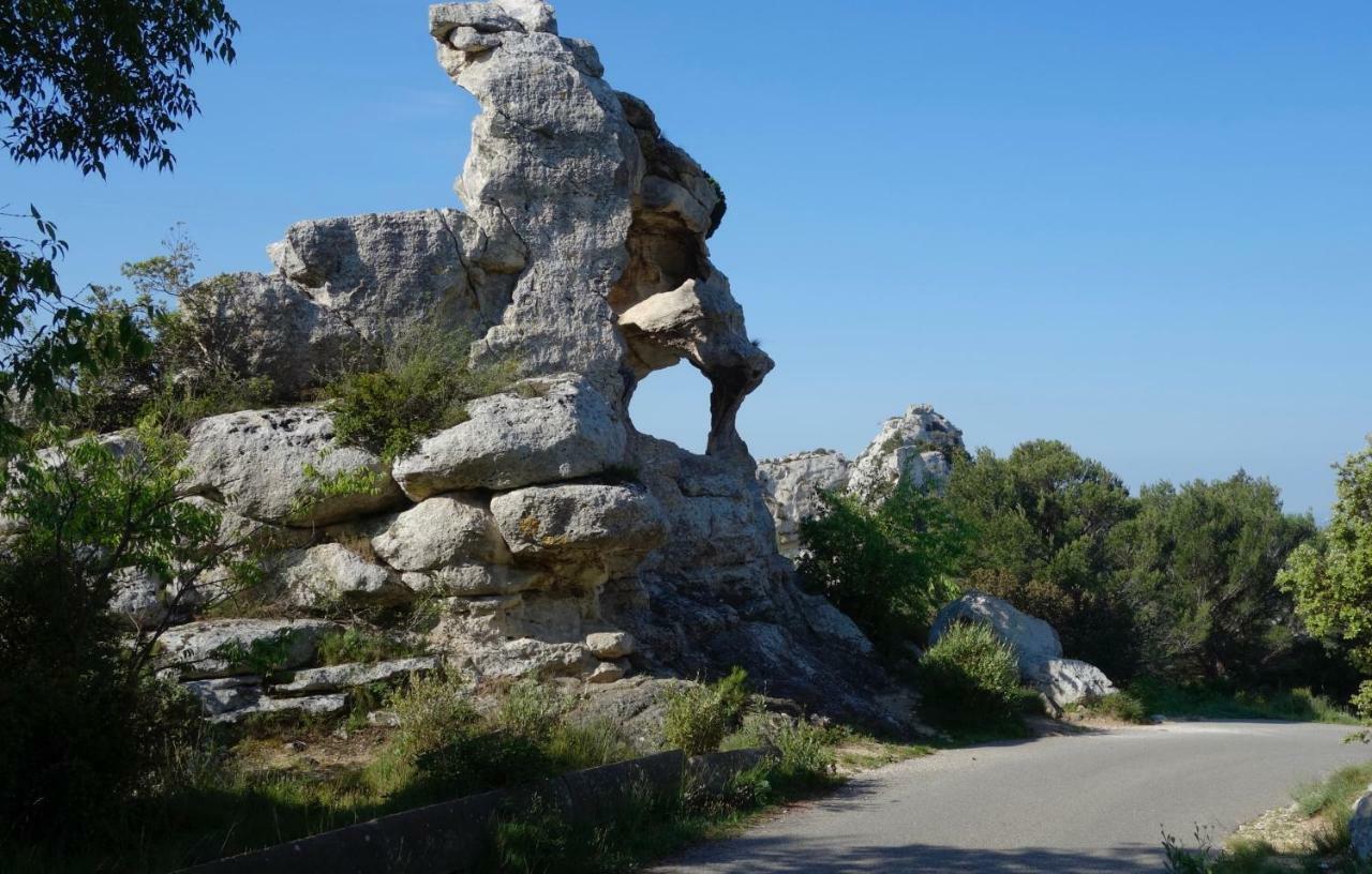 Les Lavandins-Gite Magali Сен-Реми-де-Прованс Экстерьер фото